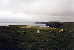 1999 - Ecosse 08 (John O'Groat)